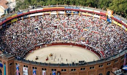 Imagen de  Senado aprobó en segundo debate el proyecto que prohíbe las corridas de toros en Colombia
