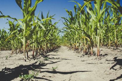 Imagen de La Tierra entra en déficit ecológico el 30 de julio: consumimos 1,8 planetas