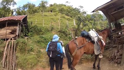 Imagen de  Delincuentes atracaron a varios pobladores y conductores en zona rural de Sonsón