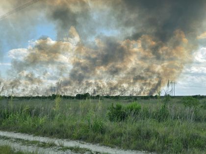 Imagen de  Voraz incendio arrasa más de 2 000 hectáreas en los Everglades, el mayor ecosistema natural de Florida