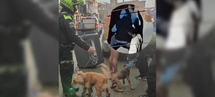 Imagen de Autoridades rescataron dos perros en Medellín por video donde agreden a uno de los caninos