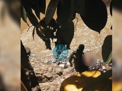 Imagen de «Era una persona de la comunidad LGTBIQ+»: autoridades se pronuncian sobre cuerpo hallado en Rionegro