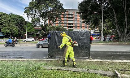 Invasión de maleza en zonas verdes de Cali, ¿a qué se debe?