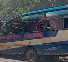 La conmovedora historia de Toby, el perro sobreviviente del atentado en la vía Panamericana