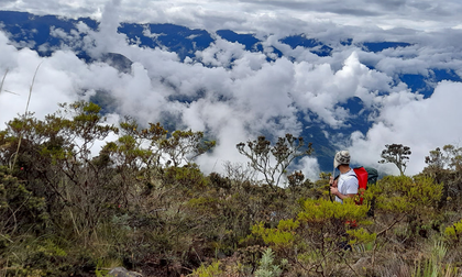 Encuentran más de cuatro mil microorganismos en el Valle