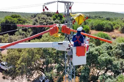 Endesa ensaya nuevas tecnologías para proteger a las aves de la red eléctrica
