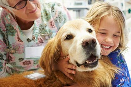 Mascotas en la salud y... en la enfermedad: los beneficios de las terapias con animales