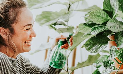 ¿Realmente las plantas sienten cuando les hablas? Lo que dice la ciencia