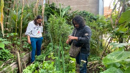 Imagen de Proyecto de investigación de jóvenes de El Retiro será presentado en la Feria Feincyt Brasil 2022