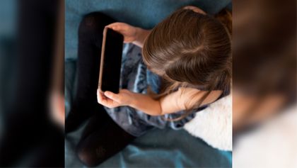 Imagen de  Tengan cuidado con sus hijos: estos son los delitos más recurrentes contra menores en internet