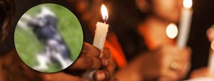 Imagen de Animalistas harán velatón para rechazar muerte de perrito arrastrado por una camioneta