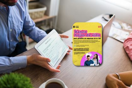 Imagen de  Convocatoria abierta para colocar gerentes en empresas administradas por la SAE en todo el país