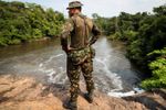 Imagen de Informe internacional advierte que economías ilegales aceleran la violencia y la destrucción en la Amazonía