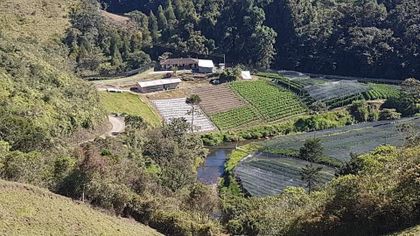 Imagen de Veredas de Abejorral y La Unión fueron víctimas de robo en tres noches consecutivas