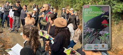 Imagen de  Rionegro ya cuenta con guía para avistamiento de aves