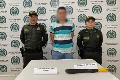 Imagen de Un hombre fue capturado en San Luis por agredir a un perrito con un machete