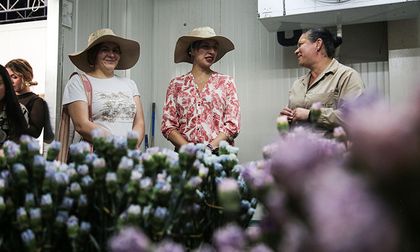 Las flores colombianas enamoran el mercado estadounidense