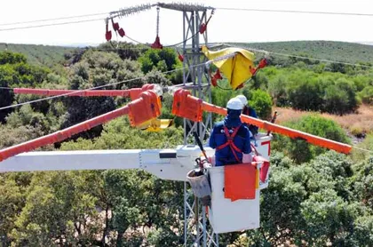 Endesa ensaya nuevas tecnologías para proteger a las aves de la red eléctrica