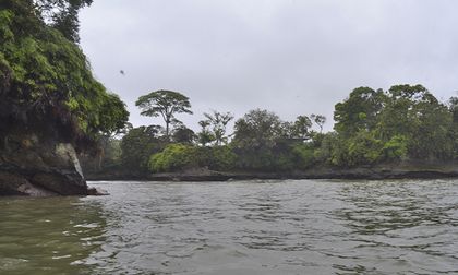Apoyo a conservación a largo plazo