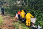 Imagen de Retiraron 20 cambuches en Marinilla durante operativos de seguridad y recuperación del espacio público