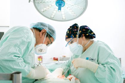 Imagen de Un llamado a la donación de órganos: en Colombia hay alarma por disminución de esta práctica