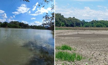 Humedales de Bolívar presentan bajos niveles de agua