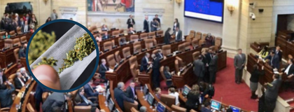 Imagen de  Congreso hundió el proyecto que pretendía regular el uso recreativo de la marihuana en Colombia