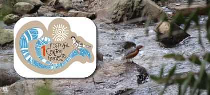 Imagen de  Para sensibilizar sobre el pato de torrentes, en La Ceja harán el Primer Festival Contracorriente