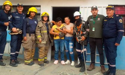 Después de tres días, gato atrapado en un árbol en Cali fue rescatado por los  Bomberos
