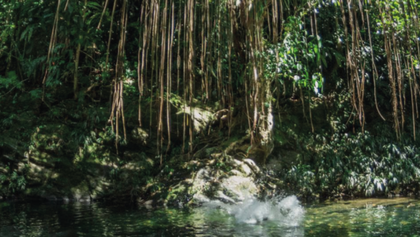 Imagen de  Por contagios y muerte de una líder, el Cañón del Río Melcocho estará cerrado por 15 días