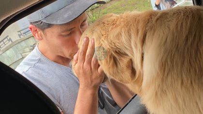 Imagen de Apareció Milán: andaba desorientado por Llanogrande