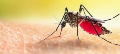 Imagen de  Antioquia reporta aumento del 92% en casos de dengue en 2025: hay brotes en Cocorná y Sonsón