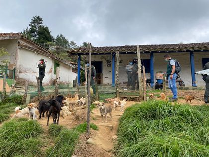 Imagen de En Guarne, fueron capturadas cuatro personas por presuntos casos de maltrato animal