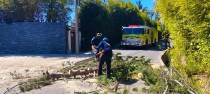 Imagen de Bomberos Rionegro atendió 35 reportes tras el terremoto