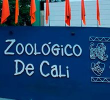 ¿Listo para volver? El Zoológico de Cali y el Jardín Botánico abren sus espacios para reencontrarse con la naturaleza