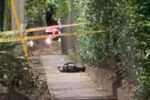 Imagen de Militar abate a dos presuntos ladrones durante intento de hurto en Medellín