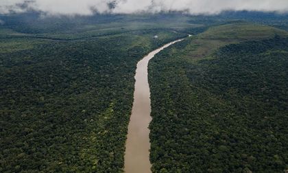 Amazonía colombiana disminuye la deforestación un 25% entre enero y septiembre de 2025, según Ideam