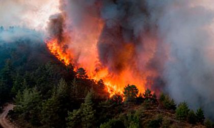 Provocar un incendio forestal en Colombia puede tener consecuencias penales, ambientales y policivas