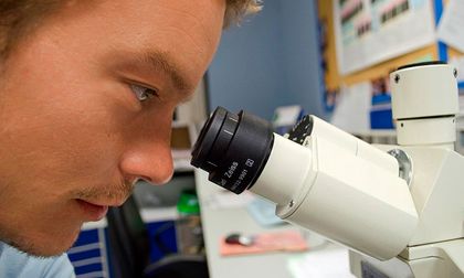 NeuMap, el primer atlas que define los siete estados de los neutrófilos