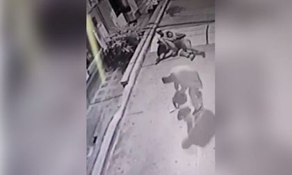 Imagen de Video: Ciudadanos impiden el robo de dos computadores de vehículos en Marinilla