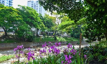120 jardines adornan el río Cali