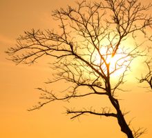 Temperaturas extremas en varias regiones del país