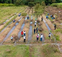 ¿Tiene un terreno libre? La CVC te da los árboles para reforestar
