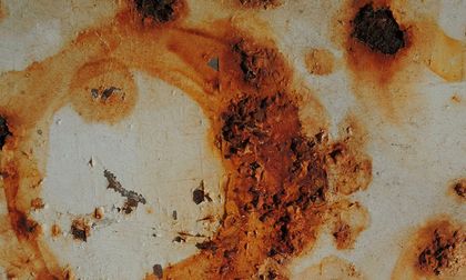 Día Mundial de la Tuberculosis: España registra un aumento del 8.3%