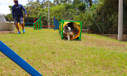 Imagen de Alcaldía de Rionegro inauguró el primer parque perruno del municipio