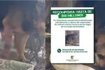 Imagen de A un refugio de Guarne fue llevada “Negra”, perrita atacada vilmente con machete en Remedios