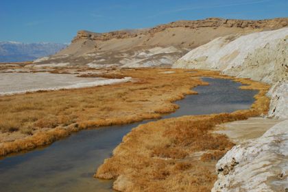 Imagen de  Los ríos, más aliados frente al cambio climático de lo que se pensaba
