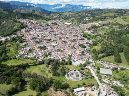 Imagen de Llega el Festival del Chócolo y la Cultura Agrícola en Abejorral