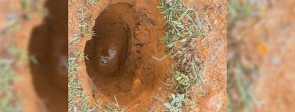 Imagen de  Inescrupulosos estarían haciendo guaquería en zona arqueológica de Guatapé