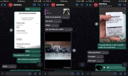 Imagen de ¡Cuidado! Personas ofrecen perros de raza en adopción para luego pedir dinero y estafar